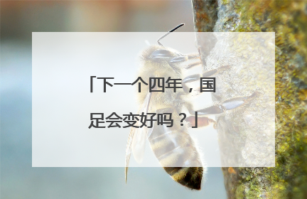 下一个四年，国足会变好吗？