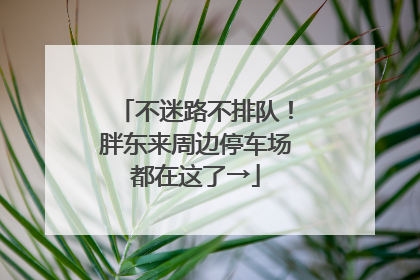 不迷路不排队！胖东来周边停车场都在这了→