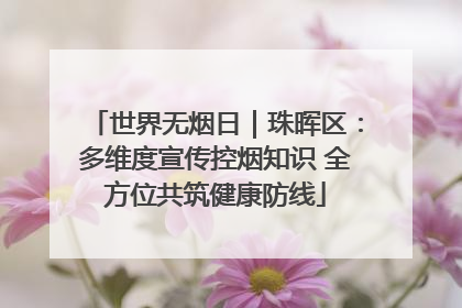 世界无烟日｜珠晖区：多维度宣传控烟知识 全方位共筑健康防线