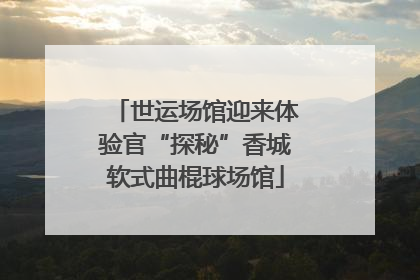 世运场馆迎来体验官“探秘”香城软式曲棍球场馆