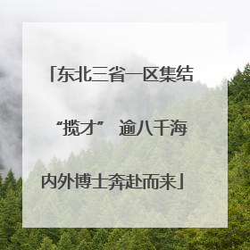 东北三省一区集结“揽才” 逾八千海内外博士奔赴而来