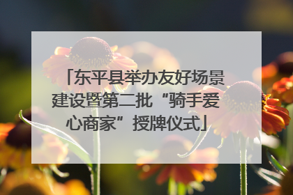 东平县举办友好场景建设暨第二批“骑手爱心商家”授牌仪式