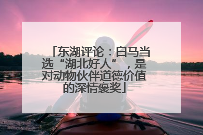 东湖评论：白马当选“湖北好人”，是对动物伙伴道德价值的深情褒奖