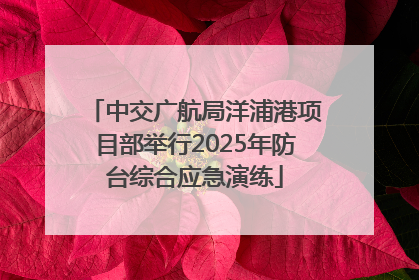 中交广航局洋浦港项目部举行2025年防台综合应急演练
