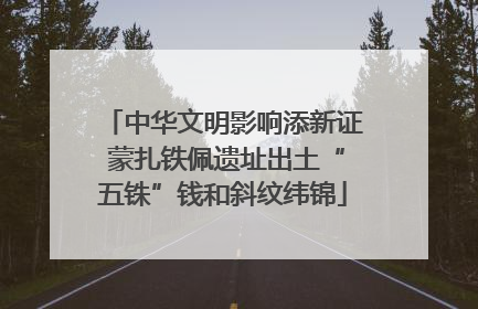 中华文明影响添新证 蒙扎铁佩遗址出土“五铢”钱和斜纹纬锦