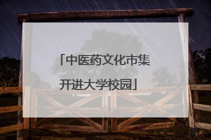 中医药文化市集开进大学校园