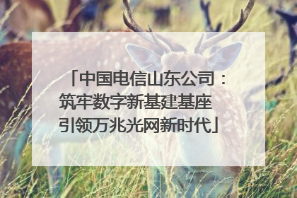 中国电信山东公司：筑牢数字新基建基座 引领万兆光网新时代