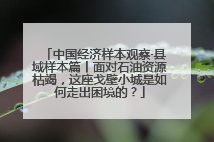 中国经济样本观察·县域样本篇丨面对石油资源枯竭，这座戈壁小城是如何走出困境的？