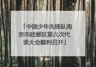 中国少年先锋队南京市建邺区第六次代表大会顺利召开