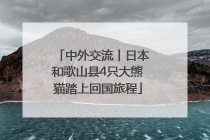 中外交流丨日本和歌山县4只大熊猫踏上回国旅程