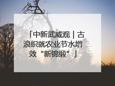 中新武威观｜古浪织就农业节水增效“新锦缎”