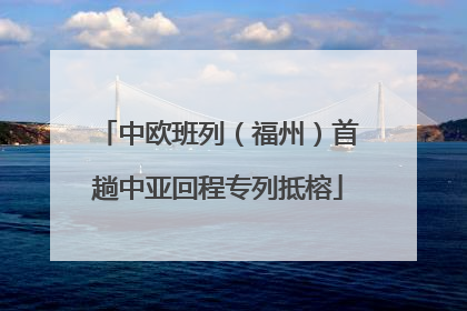 中欧班列（福州）首趟中亚回程专列抵榕