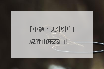 中超：天津津门虎胜山东泰山