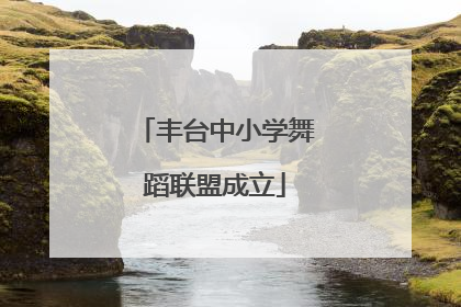 丰台中小学舞蹈联盟成立