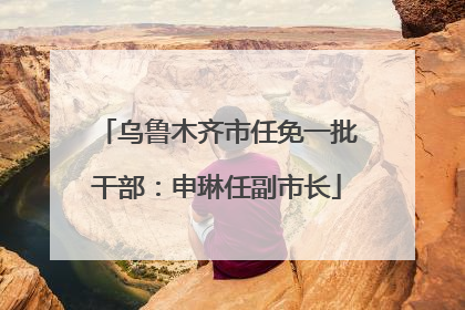 乌鲁木齐市任免一批干部：申琳任副市长