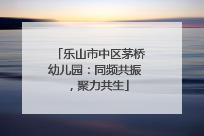 乐山市中区茅桥幼儿园：同频共振，聚力共生