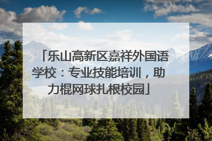 乐山高新区嘉祥外国语学校：专业技能培训，助力棍网球扎根校园