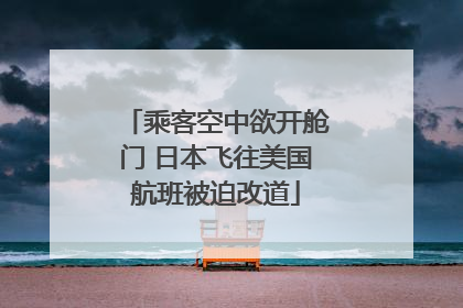 乘客空中欲开舱门 日本飞往美国航班被迫改道