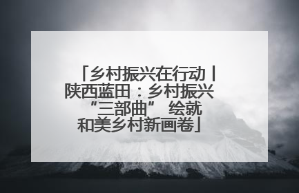 乡村振兴在行动丨陕西蓝田：乡村振兴 “三部曲” 绘就和美乡村新画卷