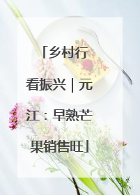 乡村行 看振兴｜元江：早熟芒果销售旺