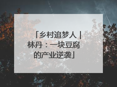 乡村追梦人｜林丹：一块豆腐的产业逆袭