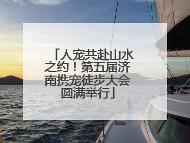 人宠共赴山水之约！第五届济南携宠徒步大会圆满举行