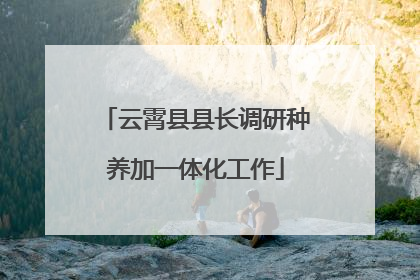 云霄县县长调研种养加一体化工作