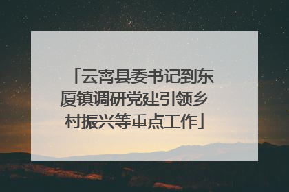 云霄县委书记到东厦镇调研党建引领乡村振兴等重点工作