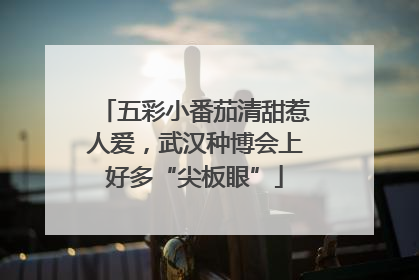 五彩小番茄清甜惹人爱，武汉种博会上好多“尖板眼”