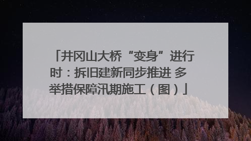 井冈山大桥“变身”进行时：拆旧建新同步推进 多举措保障汛期施工（图）
