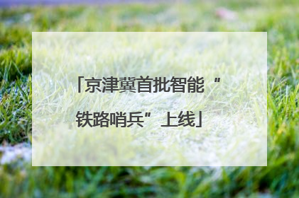 京津冀首批智能“铁路哨兵”上线
