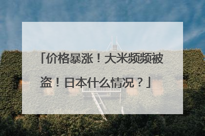 价格暴涨！大米频频被盗！日本什么情况？