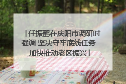 任振鹤在庆阳市调研时强调 坚决守牢底线任务 加快推动老区振兴