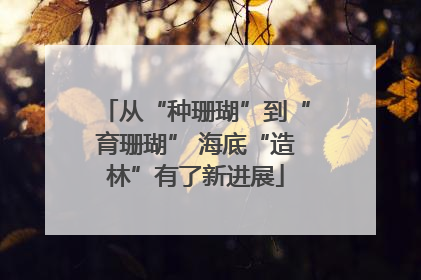 从“种珊瑚”到“育珊瑚” 海底“造林”有了新进展