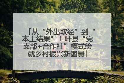 从“外出取经”到“本土结果”！叶县“党支部+合作社”模式绘就乡村振兴新图景