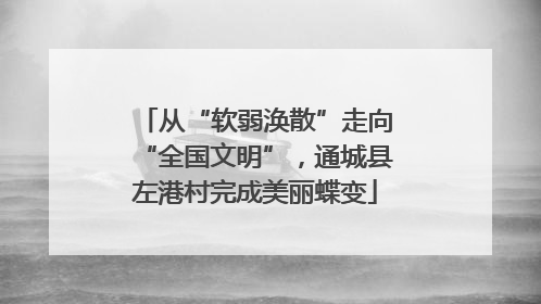 从“软弱涣散”走向“全国文明”，通城县左港村完成美丽蝶变