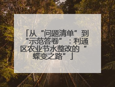 从“问题清单”到“示范答卷”：利通区农业节水整改的“蝶变之路”