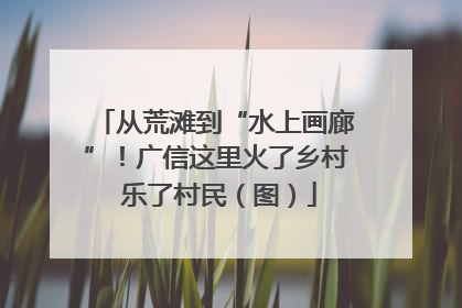 从荒滩到“水上画廊”！广信这里火了乡村 乐了村民（图）