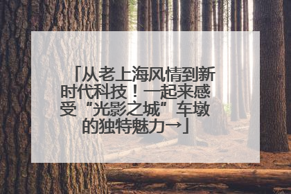 从老上海风情到新时代科技！一起来感受“光影之城”车墩的独特魅力→