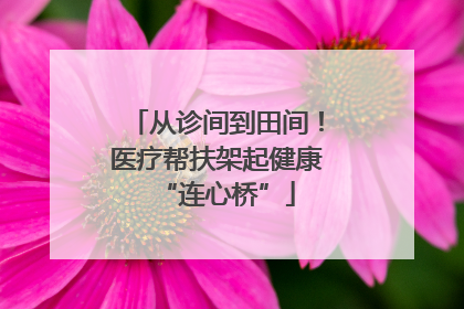 从诊间到田间！医疗帮扶架起健康“连心桥”