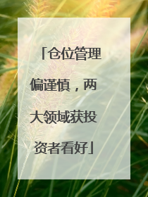仓位管理偏谨慎，两大领域获投资者看好