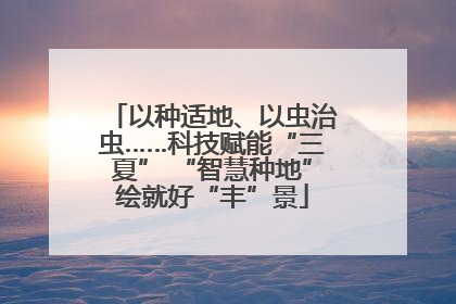 以种适地、以虫治虫……科技赋能“三夏” “智慧种地”绘就好“丰”景