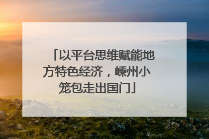 以平台思维赋能地方特色经济，嵊州小笼包走出国门