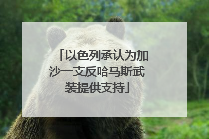 以色列承认为加沙一支反哈马斯武装提供支持