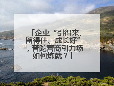 企业“引得来、留得住、成长好”，普陀营商引力场如何炼就？