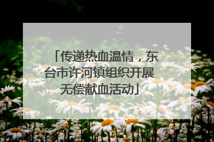 传递热血温情，东台市许河镇组织开展无偿献血活动