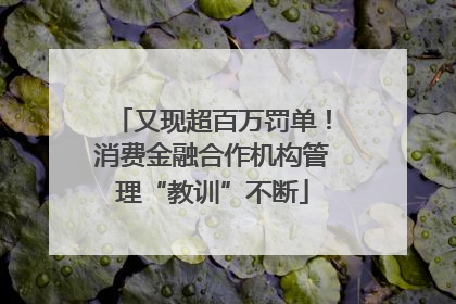 又现超百万罚单！消费金融合作机构管理“教训”不断