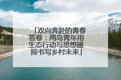 双向奔赴的青春答卷：鸬鸟青年用生态行动与思想碰撞书写乡村未来