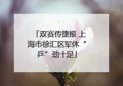 双赛传捷报 上海市徐汇区军休“乒”劲十足