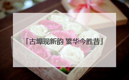 古埠现新韵 繁华今胜昔